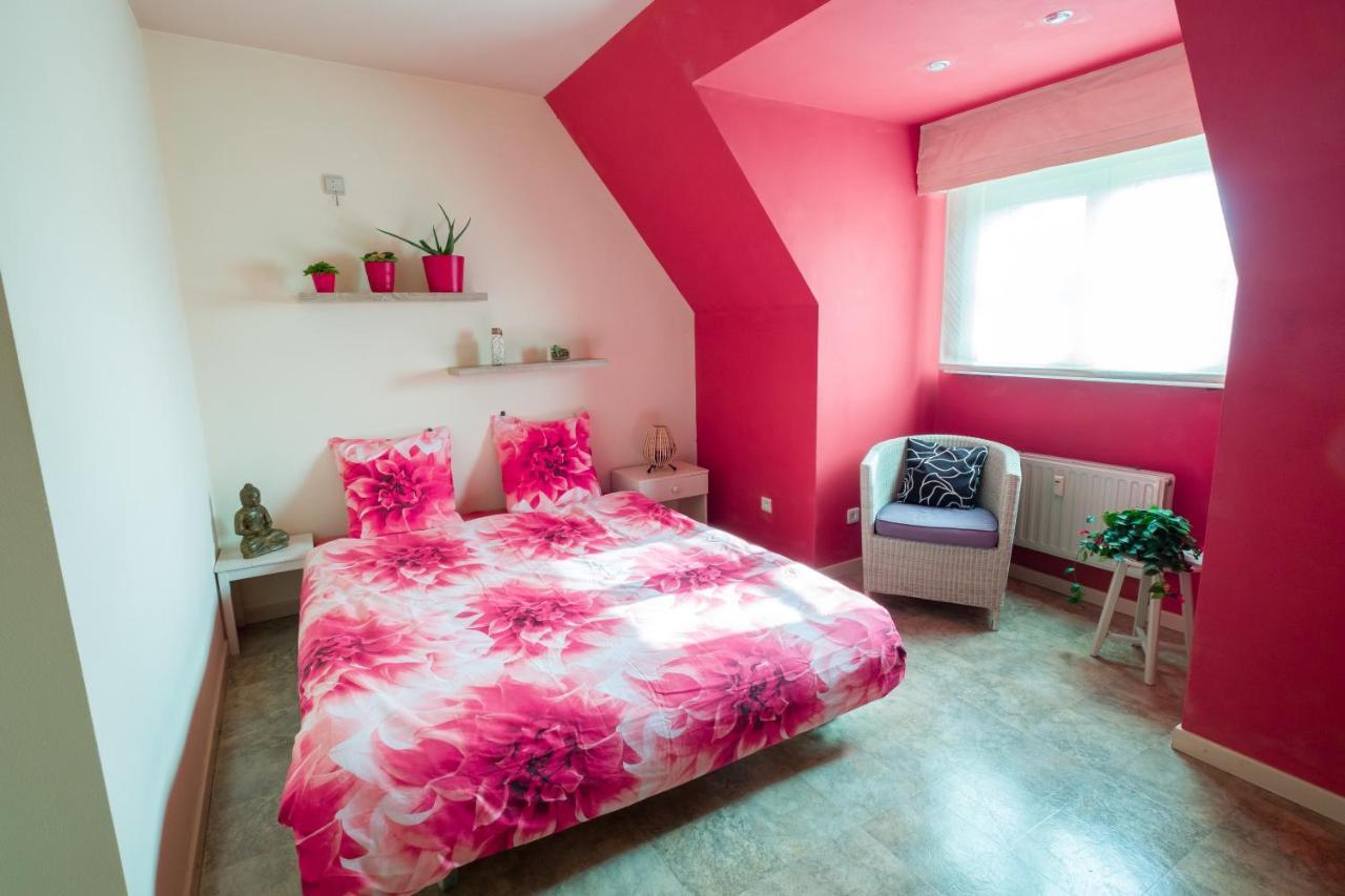 Shamballa B & B/ Logies Deinze Buitenkant foto